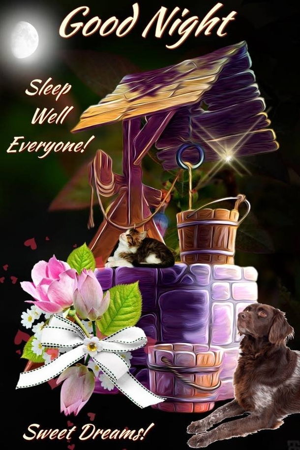 10 Good Night & Good Evening Messages For The Night - picture 3