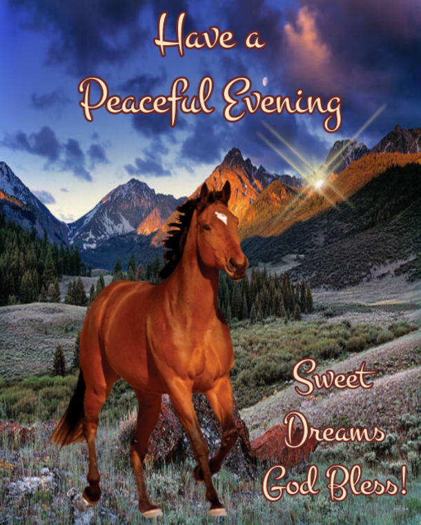10 Good Night & Good Evening Messages For The Night - picture 7