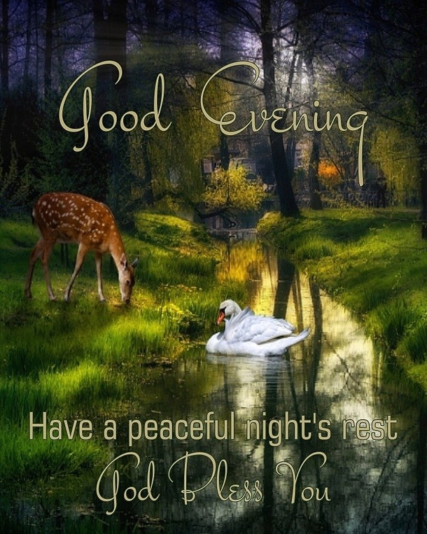 10 Good Night & Good Evening Messages For The Night - picture 9