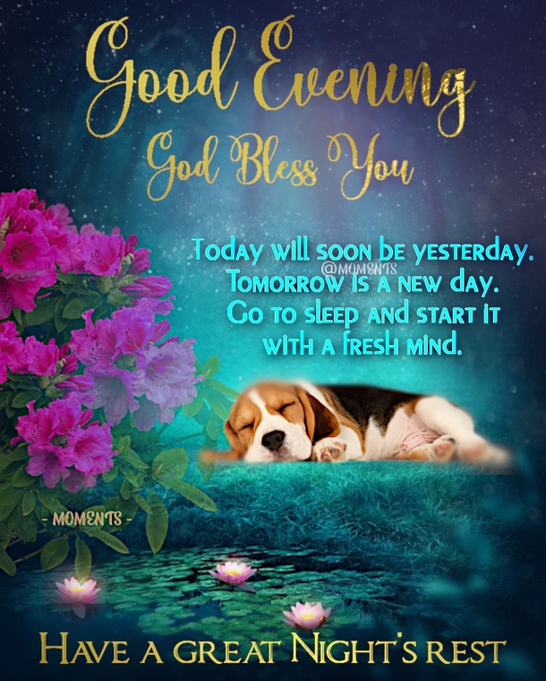 10 Good Night & Good Evening Quote Pictures For A Sweet Night's Sleep - picture 2