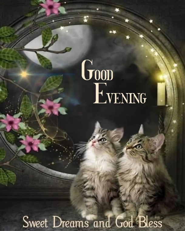 10 Good Night & Good Evening Quote Pictures For A Sweet Night's Sleep - picture 3
