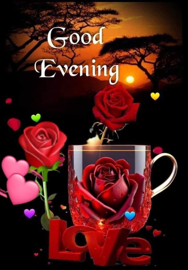 10 Good Night & Good Evening Quote Pictures For A Sweet Night's Sleep - picture 5