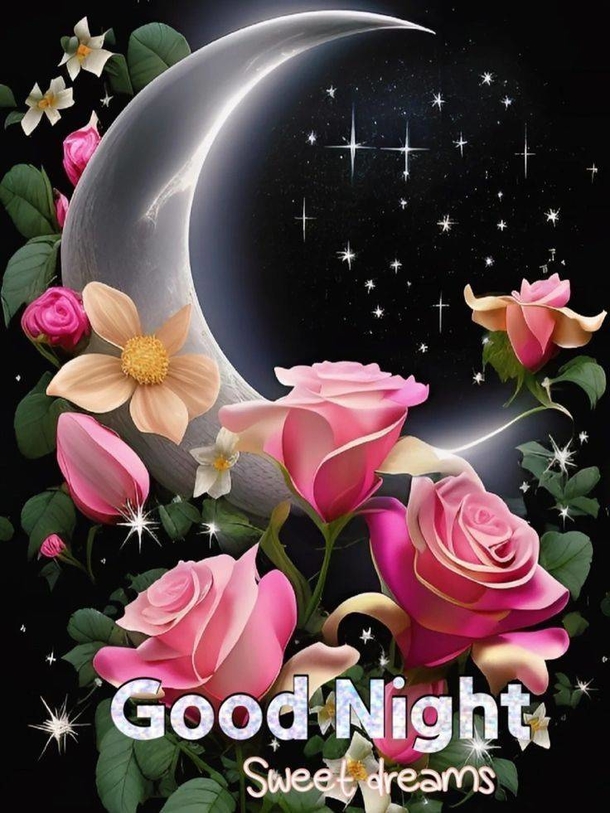 10 Good Night & Good Evening Quote Pictures For A Sweet Night's Sleep - picture 6