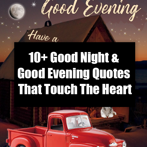 10+ Good Night & Good Evening Quotes That Touch The Heart