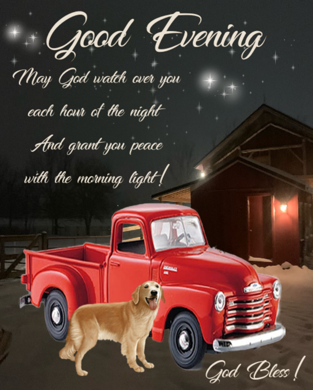 10+ Good Night & Good Evening Quotes That Touch The Heart - picture 11