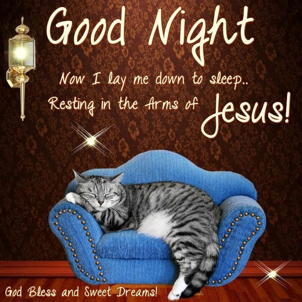 10+ Good Night & Good Evening Quotes That Touch The Heart - picture 12
