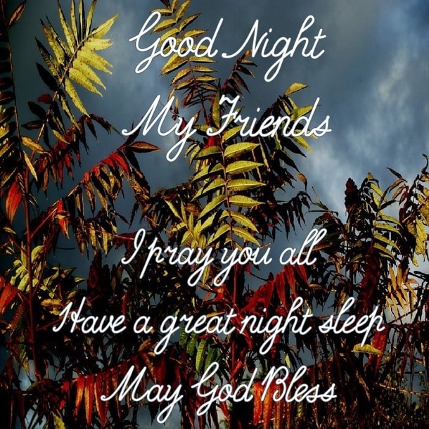 10+ Good Night & Good Evening Quotes That Touch The Heart - picture 13
