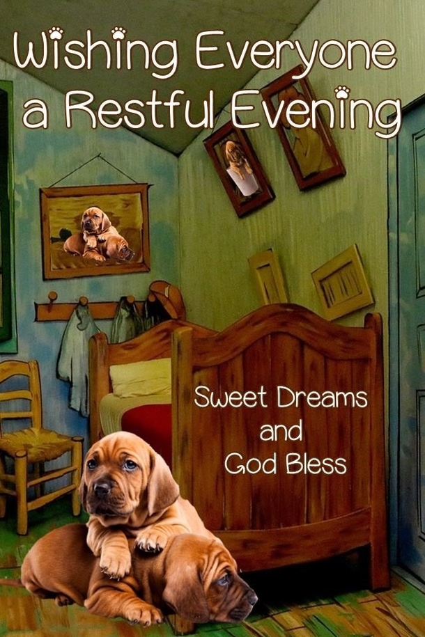 10+ Good Night & Good Evening Quotes That Touch The Heart - picture 5