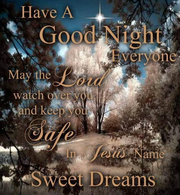 10+ Good Night & Good Evening Quotes That Touch The Heart - picture 7