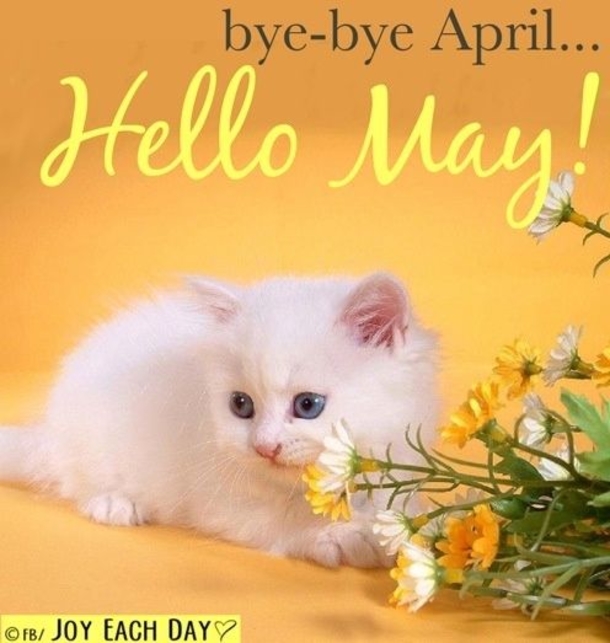 10 Goodbye April, Hello May Quotes - picture 5