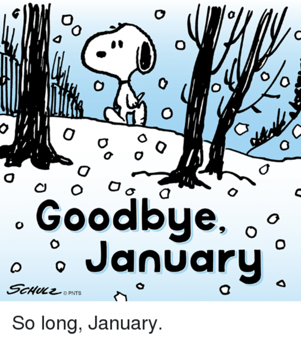 10 Goodbye January Quotes, Messages & Wishes - picture 10