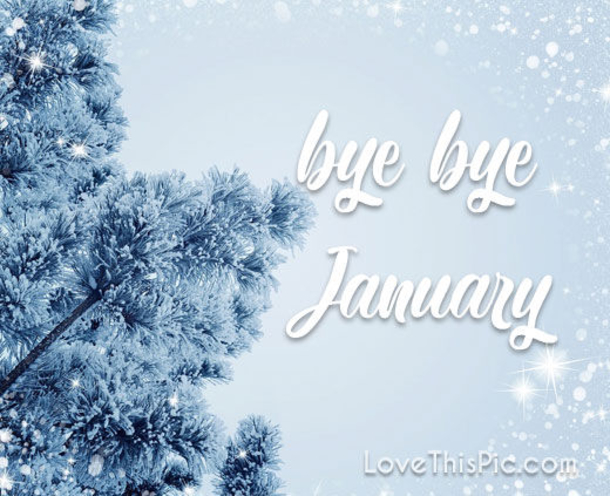 10 Goodbye January Quotes, Messages & Wishes - picture 2