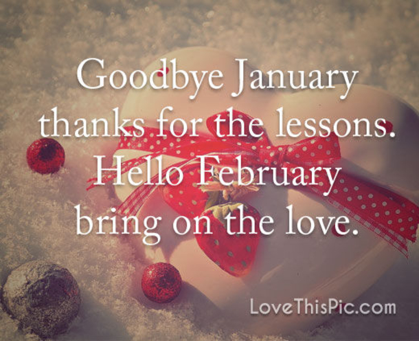 10 Goodbye January Quotes, Messages & Wishes - picture 3