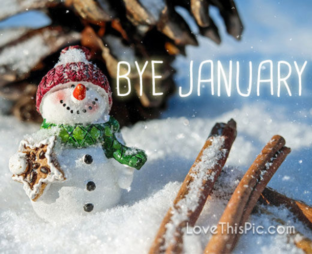 10 Goodbye January Quotes, Messages & Wishes - picture 5