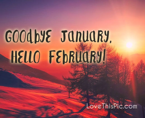 10 Goodbye January Quotes, Messages & Wishes - picture 6