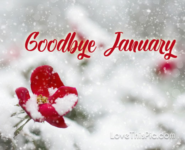 10 Goodbye January Quotes, Messages & Wishes - picture 7