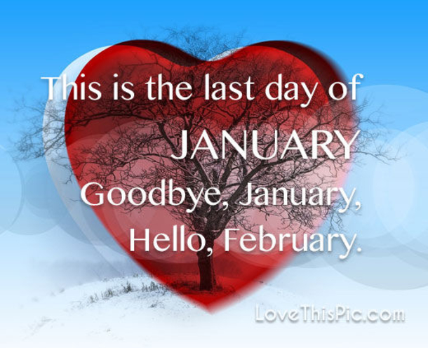10 Goodbye January Quotes, Messages & Wishes - picture 8