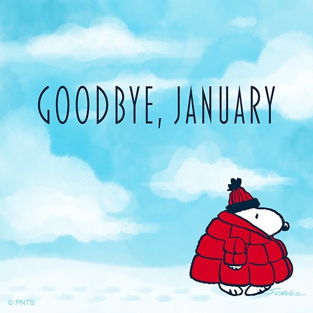 10 Goodbye January Quotes, Messages & Wishes - picture 9