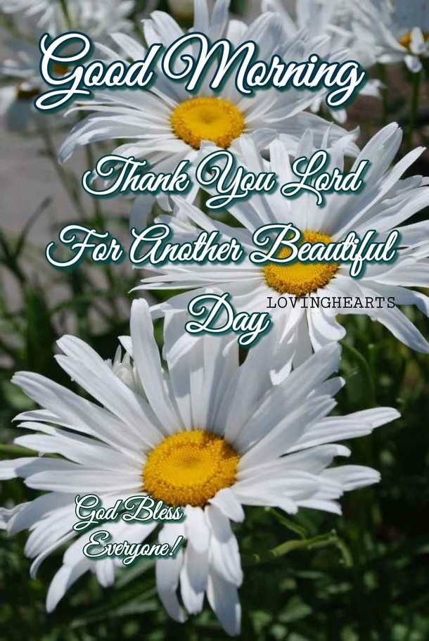 10 Gorgeous Good Morning Images You Will Love - picture 4