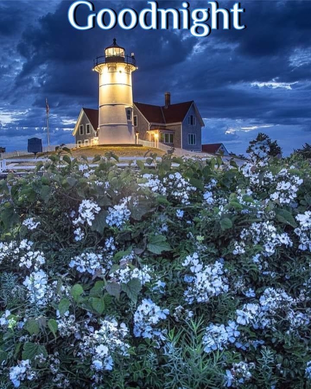 10 Gorgeous Good Night Quotes To Help Cherish The Night - picture 4