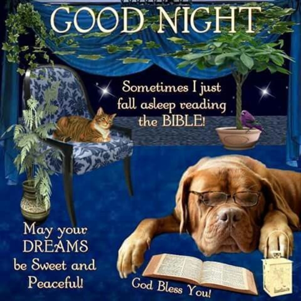 10 Gorgeous & Beautiful Good Night Quotes To Deliver Sweet Dreams - picture 11