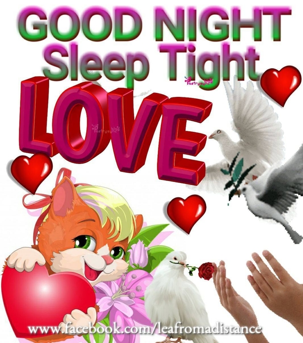 10 Gorgeous & Beautiful Good Night Quotes To Deliver Sweet Dreams - picture 3
