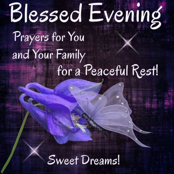 10 Gorgeous & Beautiful Good Night Quotes To Deliver Sweet Dreams - picture 5