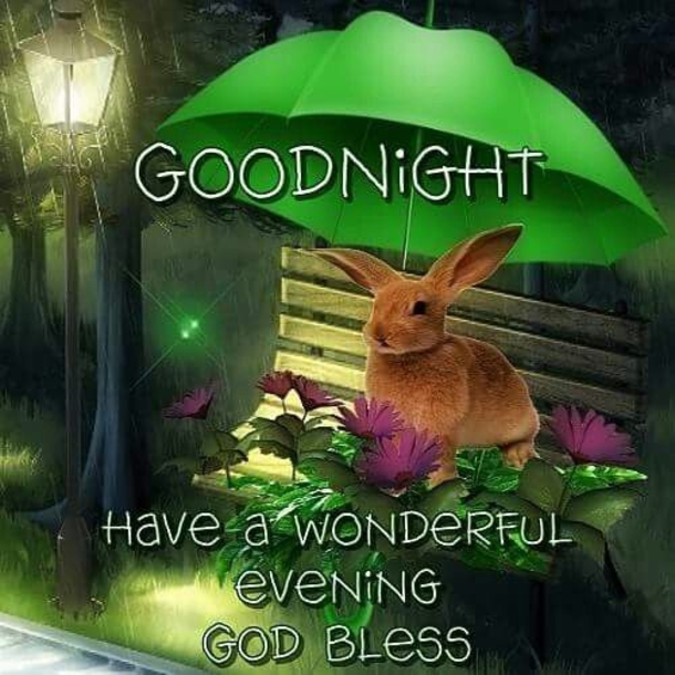 10 Gorgeous & Beautiful Good Night Quotes To Deliver Sweet Dreams - picture 6