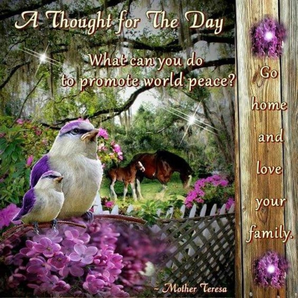 10 Gracious Thoughts Of The Day - picture 4