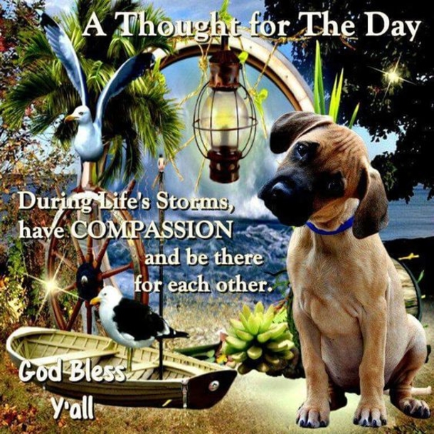 10 Gracious Thoughts Of The Day - picture 6