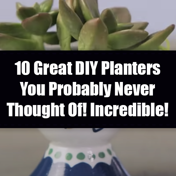 10 Great DIY Planters You Probably Never Thought Of! Incredible!