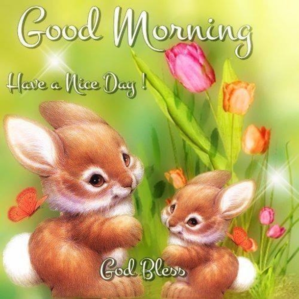 10 Great Good Morning Quotes And Sayings - picture 14