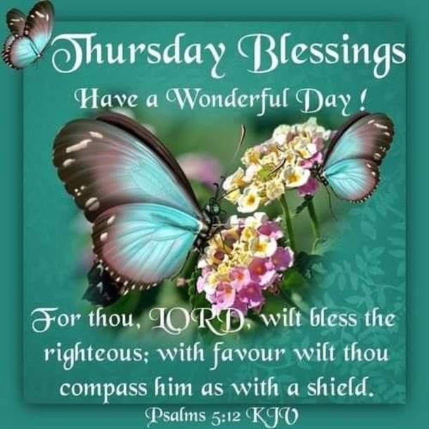 10 Great Good Morning Thursday Quotes - picture 11