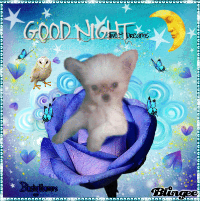 10 Great Good Night Greetings, Quotes And Sayings - picture 12