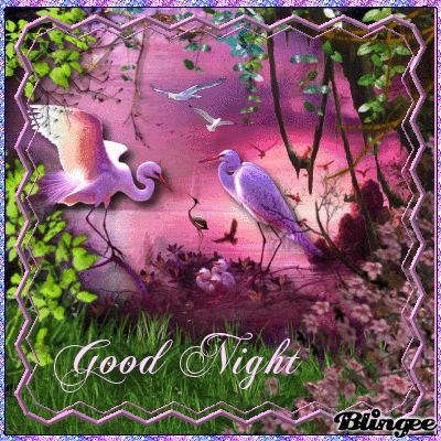 10 Great Good Night Greetings, Quotes And Sayings - picture 9