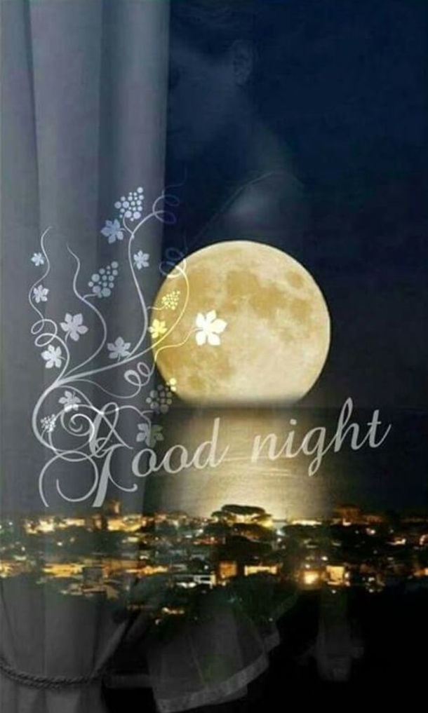 10 Great Good Night Quotes Images For Family & Friends - picture 5