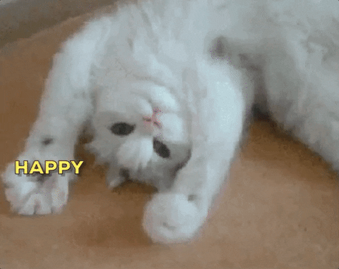 10 Great Happy Birthday Animated Images - picture 11