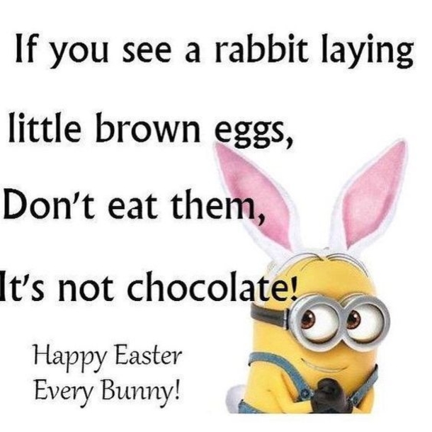 10 Great Happy Easter Minion Quotes, Images And Sayings - picture 4