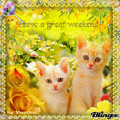 10 Great Happy Weekend Quotes And Sayings - picture 12