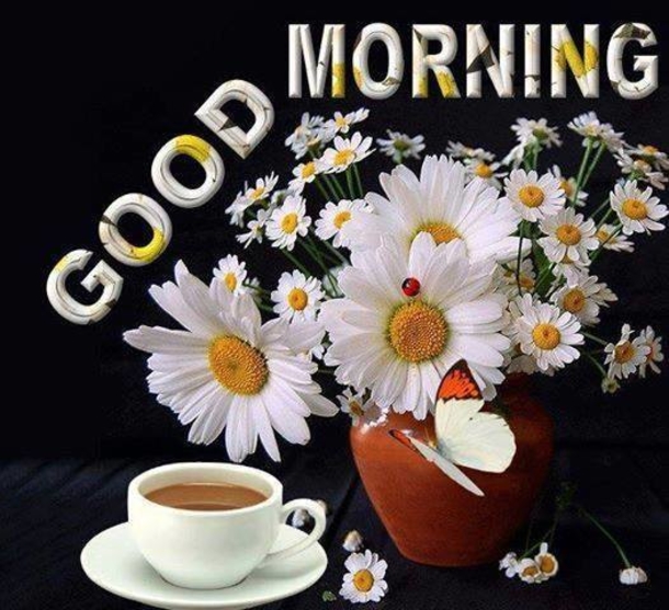 10 Great Morning Coffee Quotes - picture 11