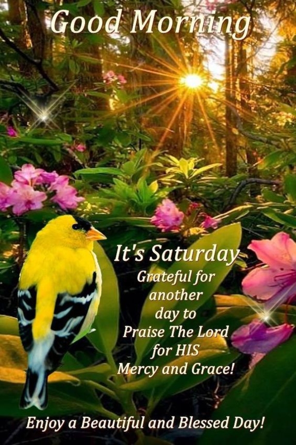 10 Great Saturday Image Quotes For The Weekend - picture 4