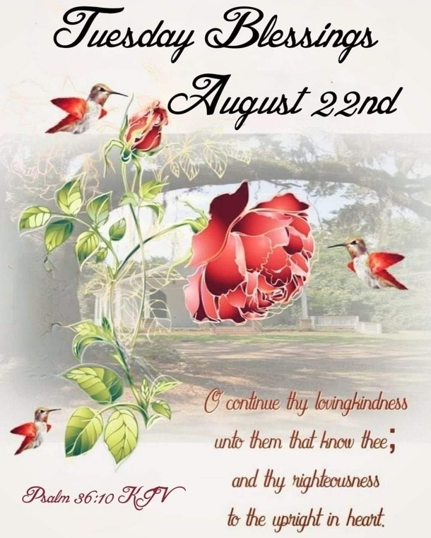 10 Great Tuesday Quotes And Images For This Bright New Day - picture 6