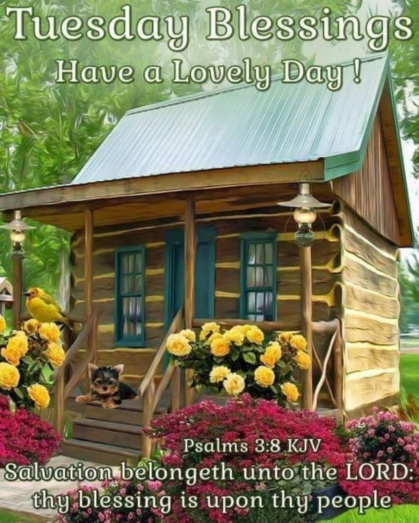 10 Great Tuesday Quotes And Images For This Bright New Day - picture 7