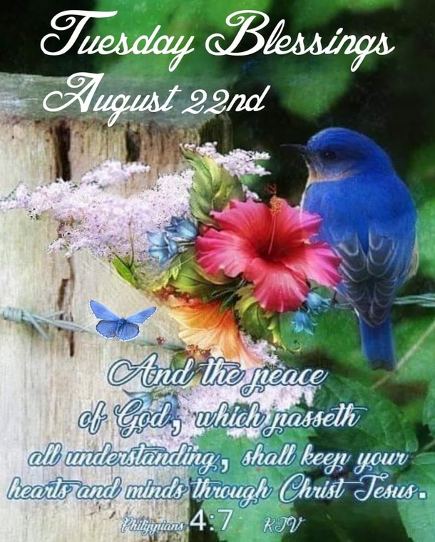 10 Great Tuesday Quotes And Images For This Bright New Day - picture 8
