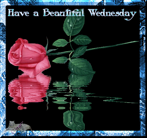 10 Great Wednesday Quotes And Gifs - picture 12