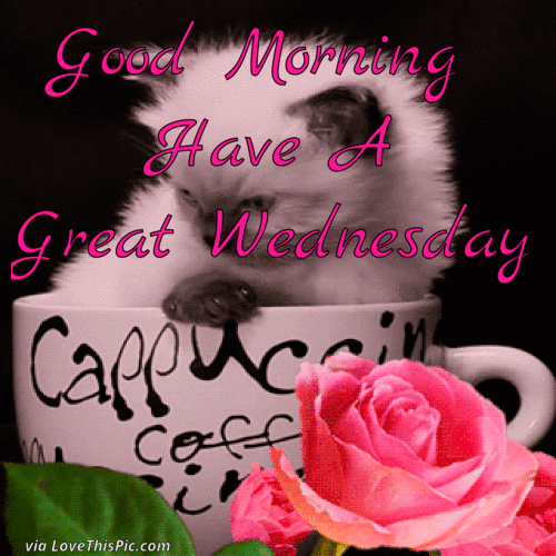 10 Great Wednesday Quotes And Gifs - picture 2