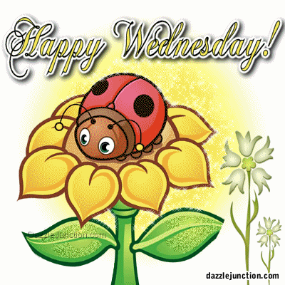 10 Great Wednesday Quotes And Gifs - picture 7