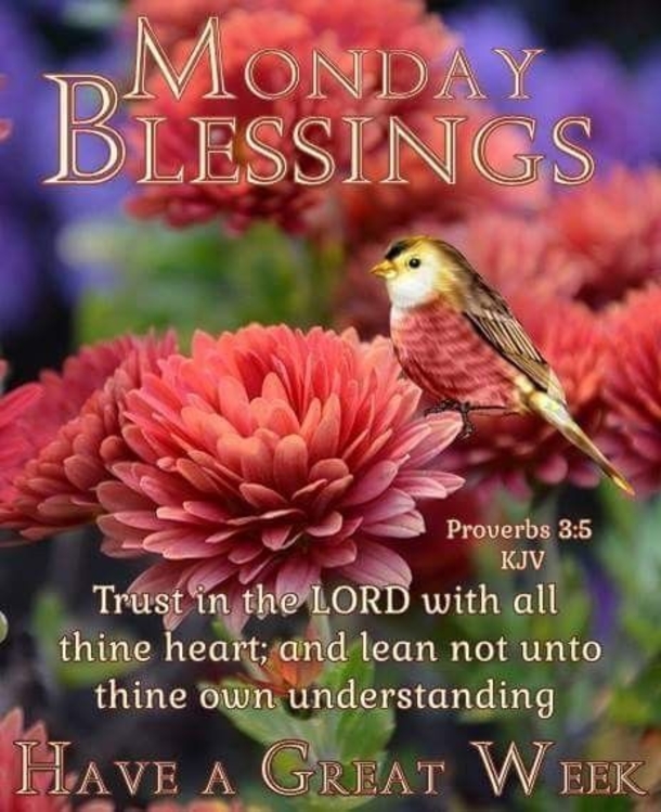 10+ Greetings For Monday To Start The New Week - picture 11