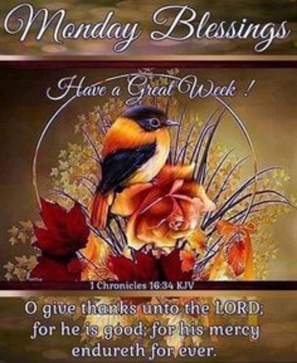 10+ Greetings For Monday To Start The New Week - picture 13