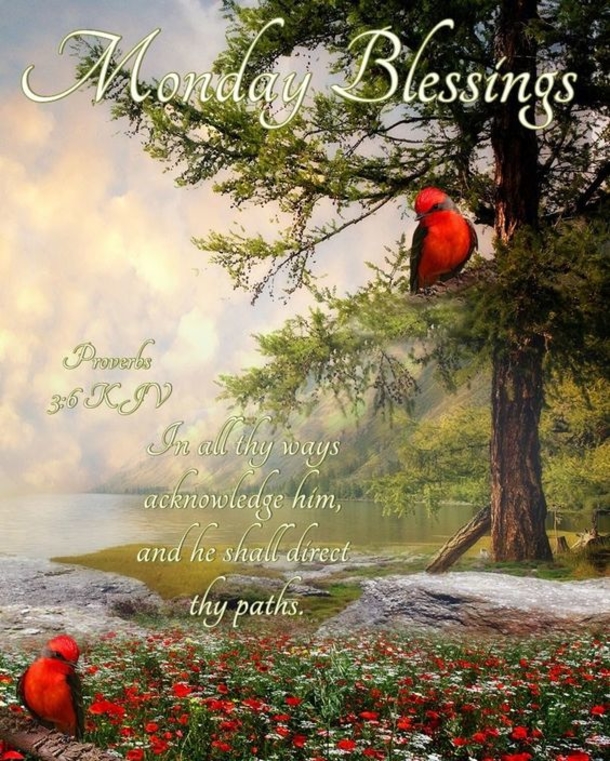 10+ Greetings For Monday To Start The New Week - picture 4